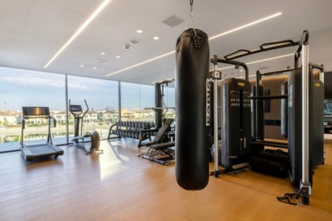 Villa itt: Palm Jumeirah, Dubai, EAE, 5 hálószoba, 1505.03 m², azonosító: 739151 - fénykép 18
