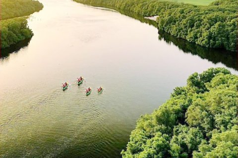Al Zorah, Ajman, UAE의 판매용 타운하우스 침실 4개, 297제곱미터 번호 647573 - 사진 23