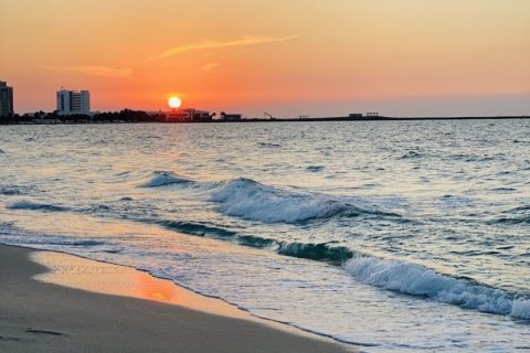 Al Zorah、Ajman、UAE にある土地販売中 10187 m2、No652925 - 写真 20