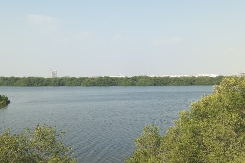 Dupleks në Al Zorah, Ajman, Emiratet e Bashkuara Arabe 3 dhoma gjumi, 464 m2. № 635223 - Foto 21