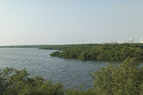 Dupleks në Al Zorah, Ajman, Emiratet e Bashkuara Arabe 3 dhoma gjumi, 464 m2. № 635223 - Foto 20