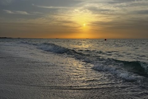 Lupain sa Al Zorah, Ajman, UAE 10187 sq.m. № 652928 - larawan 15