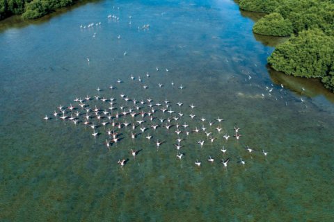 Al Zorah、Ajman、UAE にある土地販売中 10187 m2、No652925 - 写真 23