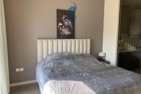 Apartament në Jumeirah Village Circle, Dubai, Emiratet e Bashkuara Arabe 1 dhomë, 35 m2. № 679209 - Foto 4