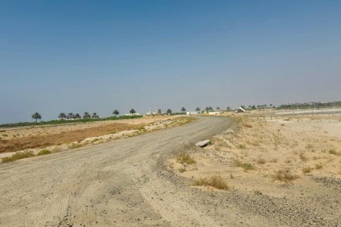 Land in Al Zorah, Ajman, UAE 4955 sq.m. № 637961 - photo 14