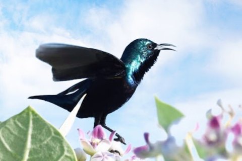 Жер телімі Al Zorah, Аджман, БАӘ-да 10187 м² № 652927 - фото 16