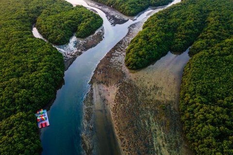 Föld itt: Al Zorah, Ajman, EAE, 7940 m², azonosító: 655617 - fénykép 15