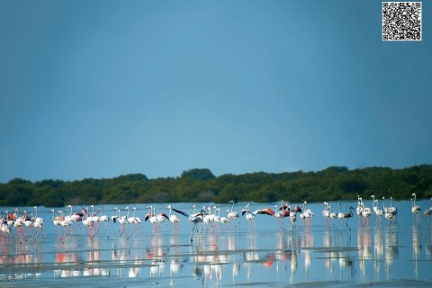 Жер телімі Al Zorah, Аджман, БАӘ-да 10187 м² № 652927 - фото 1