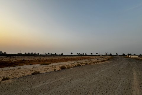 Tokë në Al Zorah, Ajman, Emiratet e Bashkuara Arabe 11892 m2. № 637949 - Foto 10
