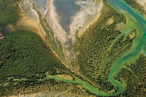 Εμπορικό ακίνητο σε Al Zorah, Ajman, ΗΑΕ 1326 τ.μ. Αρ. 645110 - φωτογραφία 13