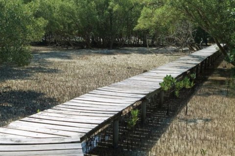 Εμπορικό ακίνητο σε Al Zorah, Ajman, ΗΑΕ 1326 τ.μ. Αρ. 645110 - φωτογραφία 11