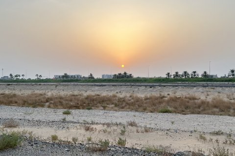 Tokë në Al Zorah, Ajman, Emiratet e Bashkuara Arabe 11892 m2. № 637949 - Foto 3