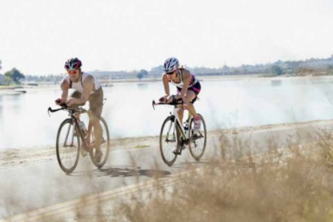 Al Zorah、Ajman、UAE にある土地販売中 10187 m2、No652926 - 写真 12