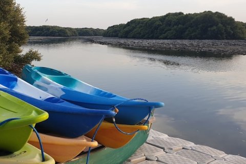 Al Zorah, Ajman, UAE의 판매용 토지 7940제곱미터 번호 655616 - 사진 11