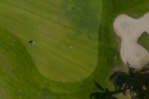 Al Zorah, Ajman, UAE의 판매용 토지 7940제곱미터 번호 655616 - 사진 16