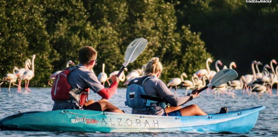 Föld itt: Al Zorah, Ajman, EAE, 7940 m², azonosító: 655617