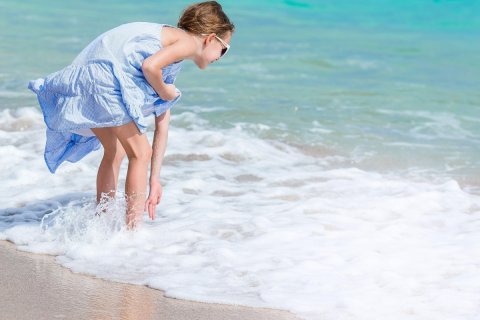 Al Zorah、Ajman、UAE にある土地販売中 10187 m2、No652925 - 写真 14