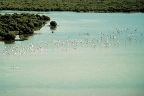 Εμπορικό ακίνητο σε Al Zorah, Ajman, ΗΑΕ 1326 τ.μ. Αρ. 645110 - φωτογραφία 8