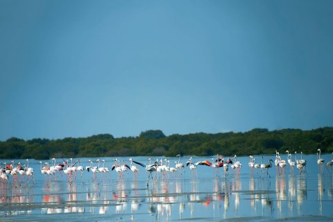 Al Zorah, Ajman, UAE의 판매용 타운하우스 침실 4개, 297제곱미터 번호 647573 - 사진 21