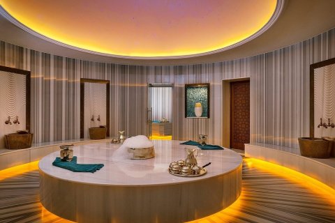 Lupain sa Al Zorah, Ajman, UAE 10187 sq.m. № 652928 - larawan 16