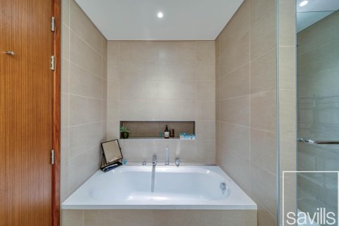 آپارتمان برای اجاره در Downtown Dubai (Downtown Burj Dubai)، Dubai، امارات متحده عربی 2 خوابه ، 161.74 متر مربع ، شماره 747714 - تصویر 21