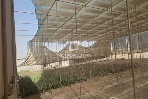 Land til leje i Ras Al Khaimah, UAE 14864.4 kvm № 663124 - foto 1