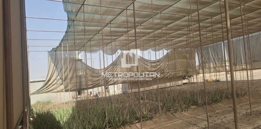 Land i Ras Al Khaimah, UAE 14864.4 kvm № 663124