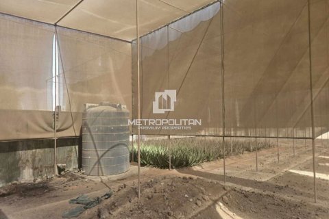 Land til leje i Ras Al Khaimah, UAE 14864.4 kvm № 663124 - foto 7