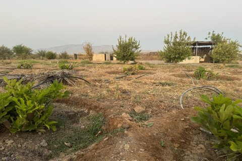 Ras Al Khaimah, संयुक्त अरब अमीरात में खेत, 26404 वर्ग मीटर, संख्या 656843 - फ़ोटो 3