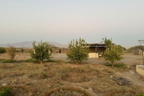 Ras Al Khaimah, संयुक्त अरब अमीरात में खेत, 26404 वर्ग मीटर, संख्या 656843 - फ़ोटो 6