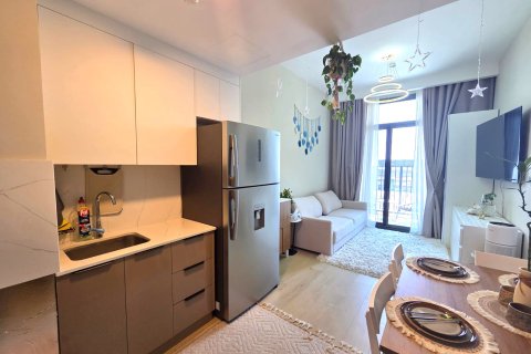 Rukan、Dubai、UAEにあるマンション 1ベッドルーム、48 m2 No752081