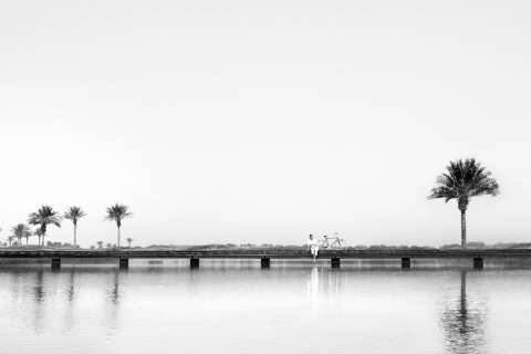 Lupain sa Saadiyat Island, Abu Dhabi, UAE 557 sq.m. № 717186 - larawan 6