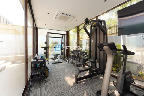 Vila na Saadiyat Island, Abu Dhabi, SAE 7 ložnice, 964.7 m² Č.: 678061 - fotografie 10