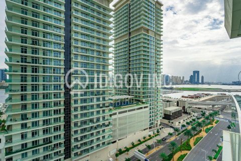 شقة للبيع في Dubai Harbour، دبي، الإمارات العربية المتحدة 2 غرفة نوم ، 109 متر مربع ، رقم 612947 - صورة 1