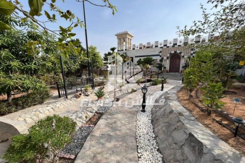 Villa te koop in Al Dhait, Ras Al Khaimah, VAE 2 slaapkamers, 279 vr.m., nr 656887 - foto 7