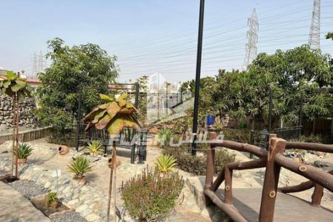 Villa te koop in Al Dhait, Ras Al Khaimah, VAE 2 slaapkamers, 279 vr.m., nr 656887 - foto 18