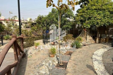 Villa te koop in Al Dhait, Ras Al Khaimah, VAE 2 slaapkamers, 279 vr.m., nr 656887 - foto 24