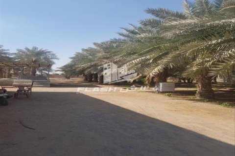 Maatila Ras Al Khaimah, Arabiemiraatit 5 makuuhuonetta, 14864 m2 № 656890 - kuva 7