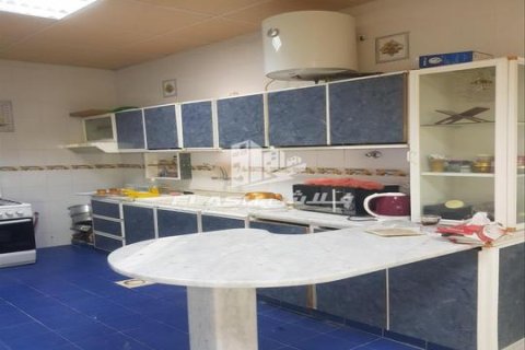 Maatila Ras Al Khaimah, Arabiemiraatit 5 makuuhuonetta, 14864 m2 № 656890 - kuva 15