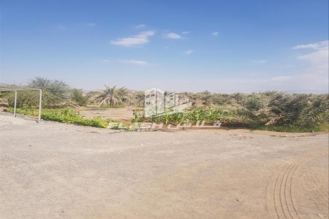Maatila Ras Al Khaimah, Arabiemiraatit 5 makuuhuonetta, 14864 m2 № 656890 - kuva 2