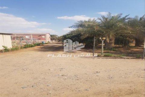 Maatila Ras Al Khaimah, Arabiemiraatit 5 makuuhuonetta, 14864 m2 № 656890 - kuva 1