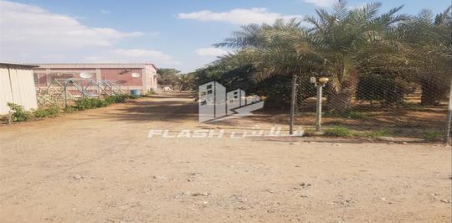 Maatila Ras Al Khaimah, Arabiemiraatit 5 makuuhuonetta, 14864 m2 № 656890