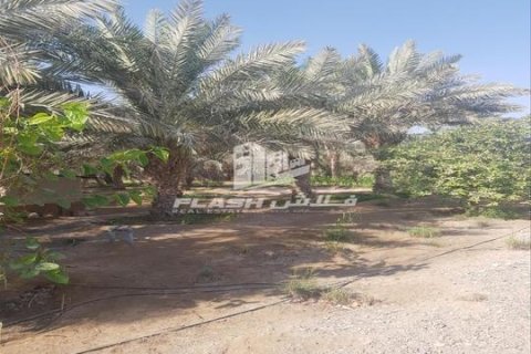 Maatila Ras Al Khaimah, Arabiemiraatit 5 makuuhuonetta, 14864 m2 № 656890 - kuva 5