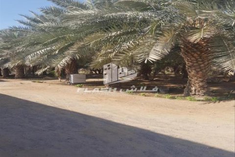 Maatila Ras Al Khaimah, Arabiemiraatit 5 makuuhuonetta, 14864 m2 № 656890 - kuva 6