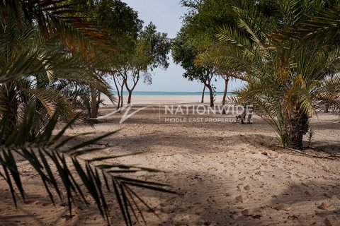 Villa sa Abu Dhabi, UAE 5 silid-tulugan, 1750 sq.m. № 629851 - larawan 8