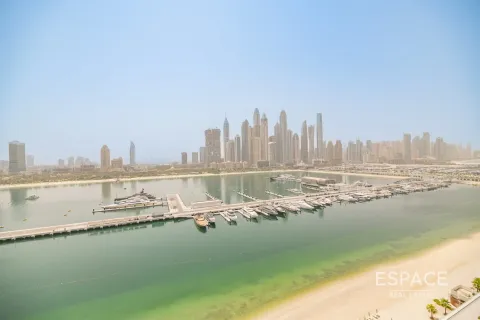 Dubai Harbour、Dubai、UAE にあるマンションの賃貸物件 2ベッドルーム、120 m2、No650215 - 写真 16