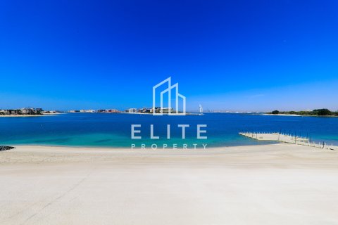 Villa Palm Jumeirah, Dubaijā, AAE 5 istabas, 314 m2 Nr. 736462 - attēls 12