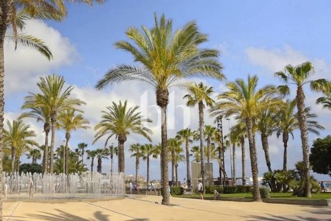 Sharjah, BAE’de satılık вилла 4 yatak odası, 312 m&sup2; No 642659 - fotoğraf 19