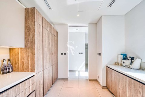 Tilal Al Ghaf, Dubai, UAE의 판매용 빌라 침실 5개, 545제곱미터 번호 715843 - 사진 24