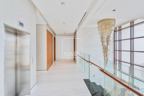 Villa on the Saadiyat Island, Abu Dhabi, UAE 5 bedrooms, 1072.01 sq.m. № 748112 - photo 8